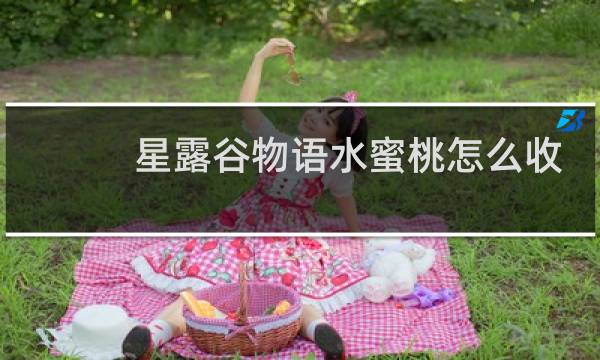 星露谷物语水蜜桃怎么收