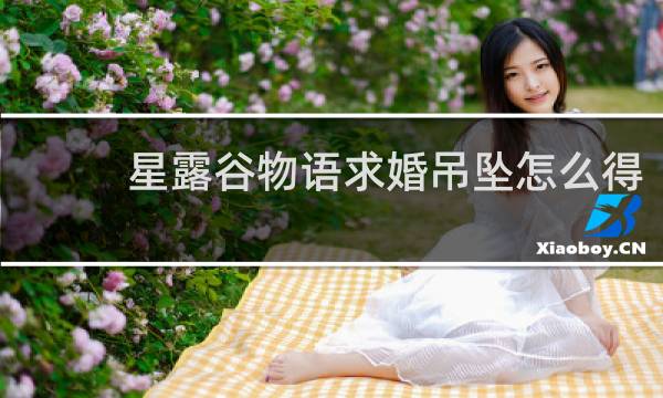 星露谷物语求婚吊坠怎么得
