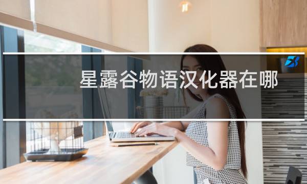 星露谷物语汉化器在哪