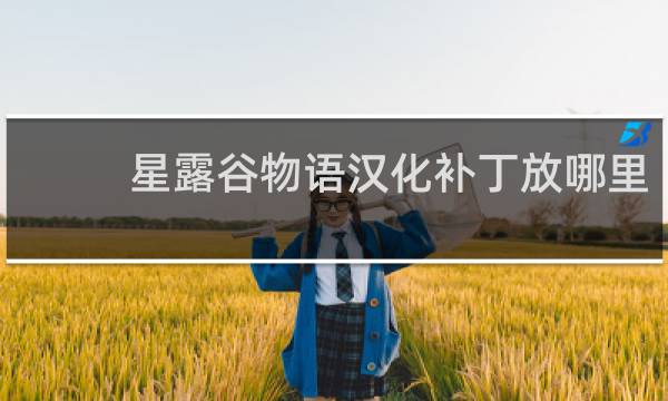 星露谷物语汉化补丁放哪里