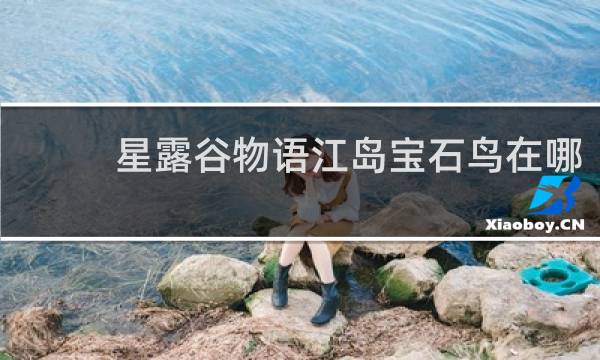 星露谷物语江岛宝石鸟在哪