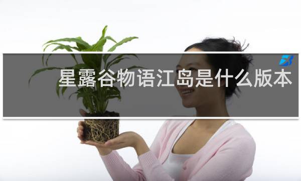 星露谷物语江岛是什么版本