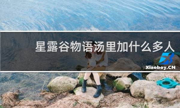 星露谷物语汤里加什么多人