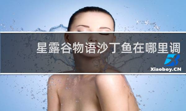 星露谷物语沙丁鱼在哪里调