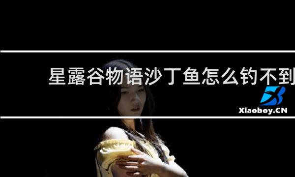 星露谷物语沙丁鱼怎么钓不到