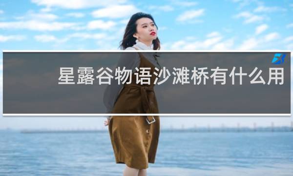 星露谷物语沙滩桥有什么用
