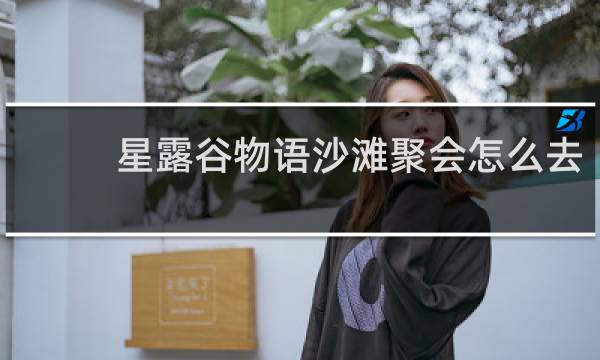 星露谷物语沙滩聚会怎么去