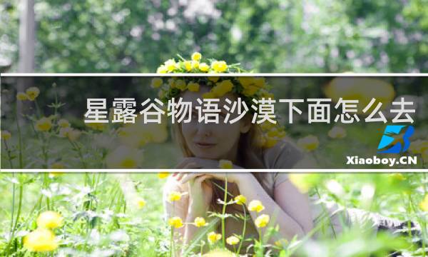 星露谷物语沙漠下面怎么去