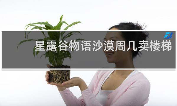 星露谷物语沙漠周几卖楼梯