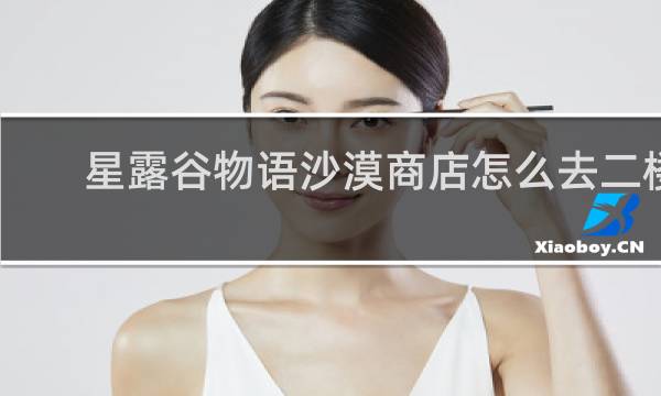 星露谷物语沙漠商店怎么去二楼