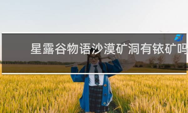 星露谷物语沙漠矿洞有铱矿吗