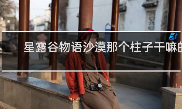 星露谷物语沙漠那个柱子干嘛的