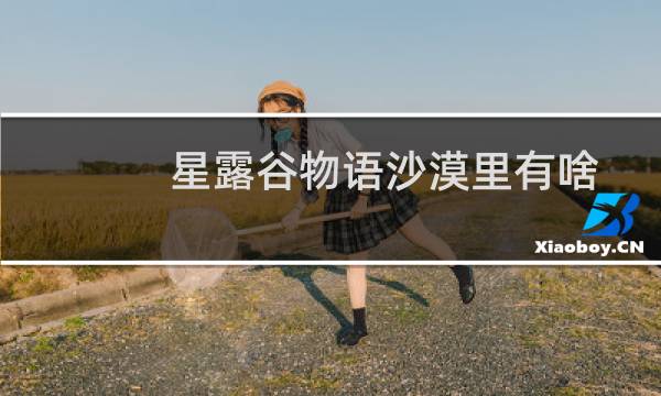 星露谷物语沙漠里有啥