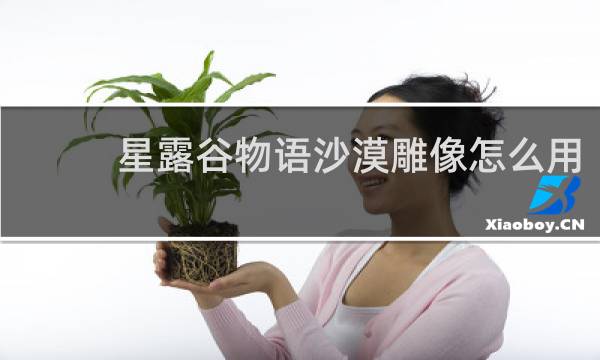 星露谷物语沙漠雕像怎么用