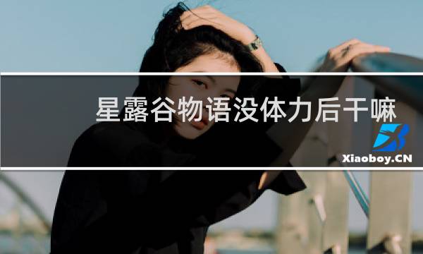 星露谷物语没体力后干嘛