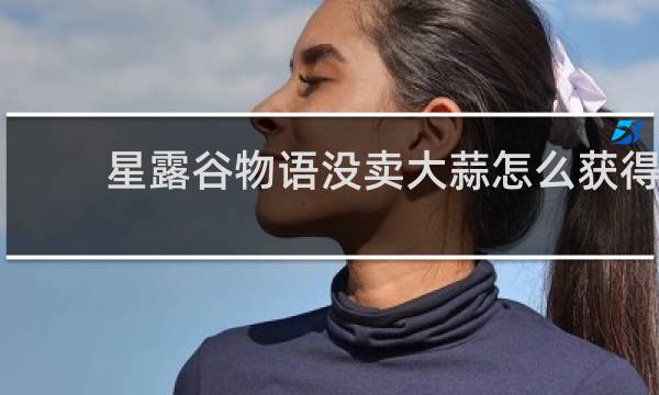 星露谷物语没卖大蒜怎么获得