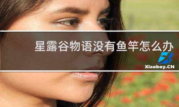 星露谷物语没有鱼竿怎么办