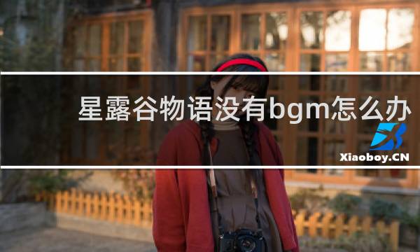 星露谷物语没有bgm怎么办