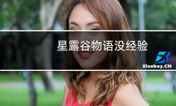 星露谷物语没经验