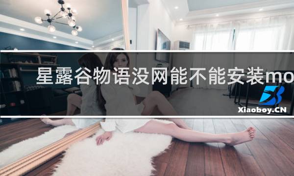 星露谷物语没网能不能安装mod