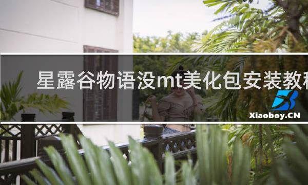 星露谷物语没mt美化包安装教程