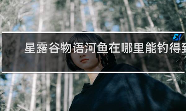 星露谷物语河鱼在哪里能钓得到