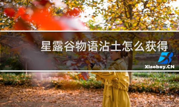 星露谷物语沾土怎么获得