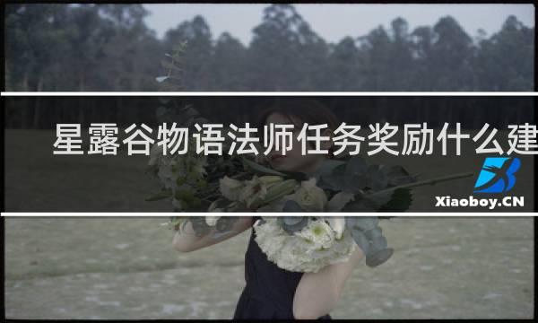 星露谷物语法师任务奖励什么建筑