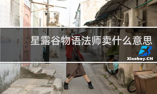 星露谷物语法师卖什么意思