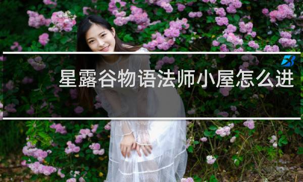 星露谷物语法师小屋怎么进
