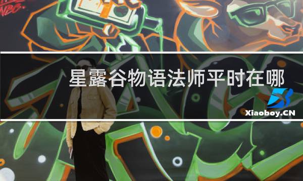 星露谷物语法师平时在哪