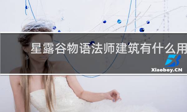 星露谷物语法师建筑有什么用