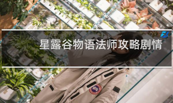 星露谷物语法师攻略剧情