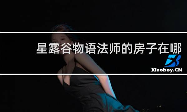 星露谷物语法师的房子在哪