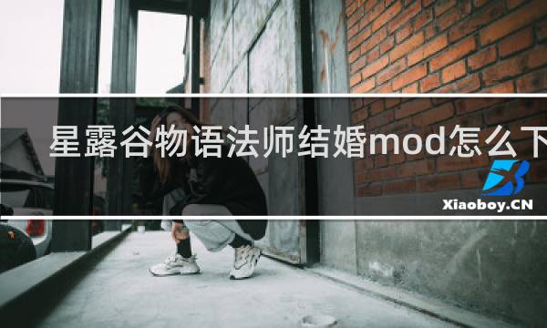 星露谷物语法师结婚mod怎么下载
