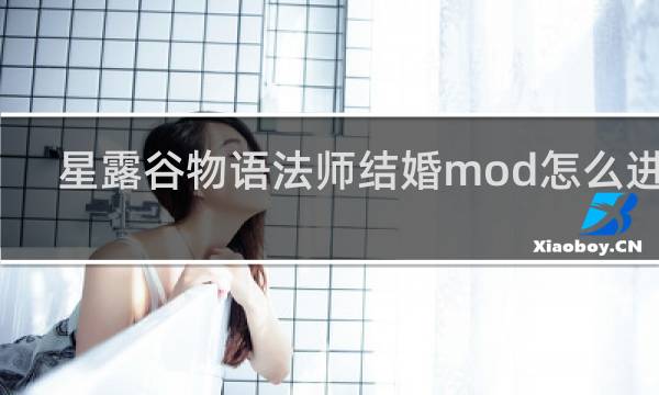 星露谷物语法师结婚mod怎么进去