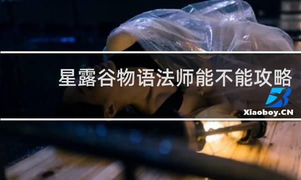 星露谷物语法师能不能攻略