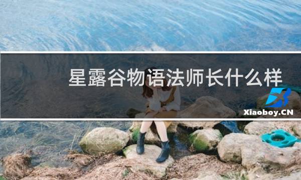 星露谷物语法师长什么样
