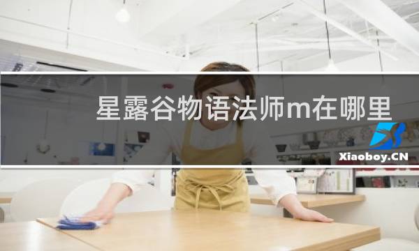 星露谷物语法师m在哪里