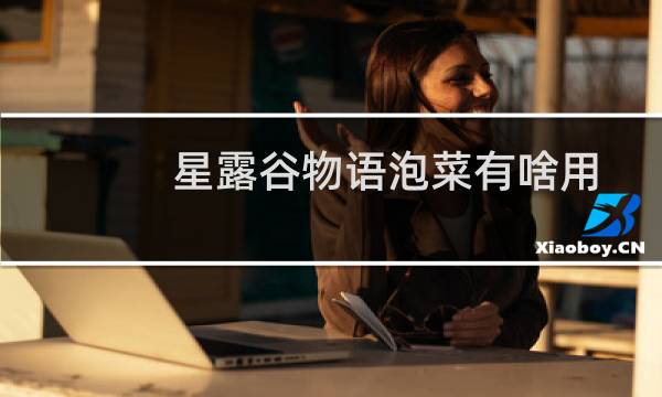 星露谷物语泡菜有啥用