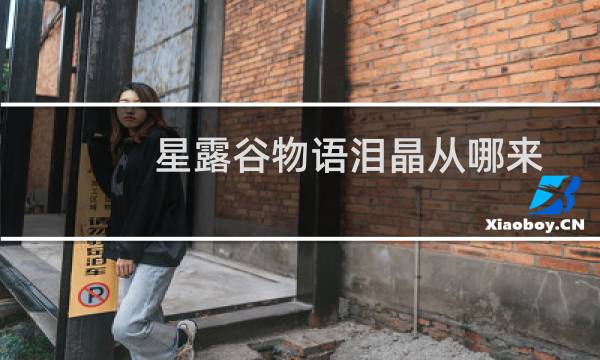 星露谷物语泪晶从哪来