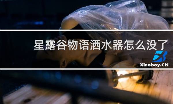 星露谷物语洒水器怎么没了