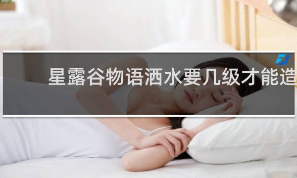 星露谷物语洒水要几级才能造
