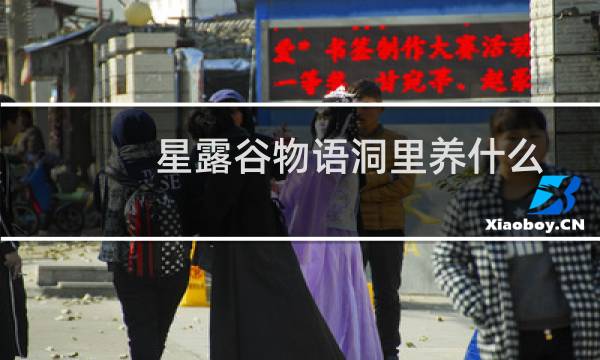 星露谷物语洞里养什么