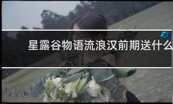 星露谷物语流浪汉前期送什么