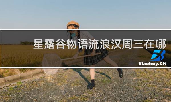 星露谷物语流浪汉周三在哪