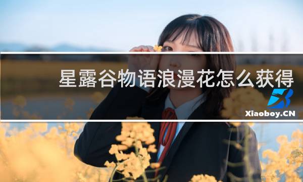 星露谷物语浪漫花怎么获得