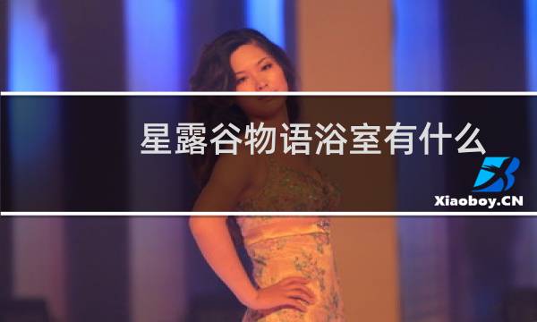 星露谷物语浴室有什么