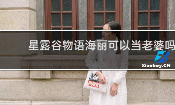 星露谷物语海丽可以当老婆吗