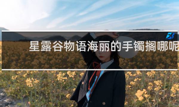 星露谷物语海丽的手镯搁哪呢